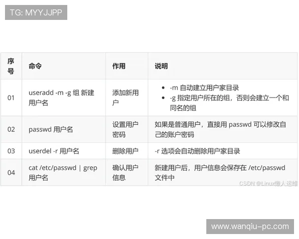 玩球波胆历史数据查询避坑指南高频玩法防骗攻略 玩球波胆历史数据查询避坑指南高频玩法防骗攻略